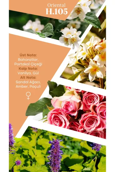 Mad Parfüm H105 Selective 50 ml | Oryantal Kadın Parfüm